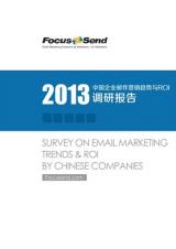 Focussend ������2013�й���ҵ�ʼ�Ӫ��������ROI�ĵ��鱨�桷